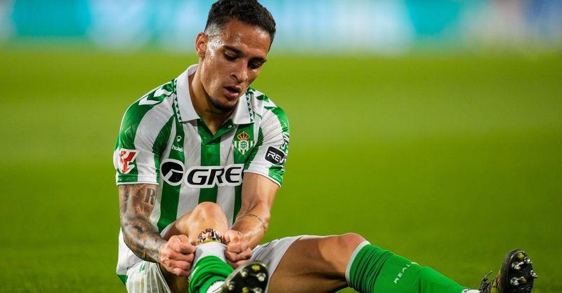 第三, 确定, Colch 第三, 确定, Colch